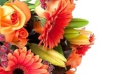$25 for a $50 garden bouquet at Southport Blooms 