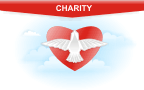 Charity Rewards Credit Cards