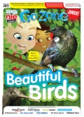 Go Zone Junior - Beautiful Birds