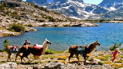 Hiking the Sierra with three llamas and a baby