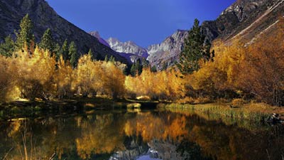 Eastern Sierra's autumn colors peak