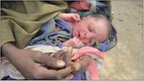 One-day-old Iisha, born under an acacia tree near Liboi