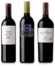 Our Mouthwatering Malbec Sampler