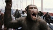 'Apes' prequel stands alone, upright