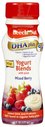 Beech-Nut  DHA Plus+ Yogurt Blends w/ Juice Mixed Berry-9 pk