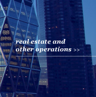 real-estate and other operations