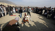 Afghans unapologetically cheer on dogfights