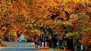 Nelson, Canada, in living color
