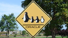 Disgruntled employee? Oracle doesn't seem to care about Solaris 11 code leak