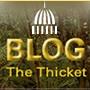 Thicket logo