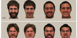 beard faces