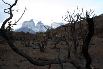 Chile wildfire 2012 01 03