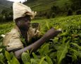 Rwanda poverty reduced 2012 3 28