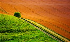 Wiltshire Landscape
