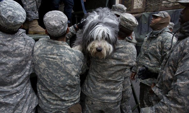 A dog named Shaggy is handed to National Guard personnel after the dog and his owner were rescued from a flooded building in Hoboken, N.J.
