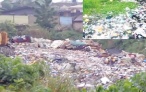 It’s harvest of refuse in Lagos suburbs