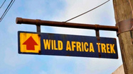 Review: Wild Animal Trek takes visitors on VIP jungle tour at Disney's Animal Kingdom