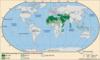 Islam: world distribution of Islam [Credit: Encyclop&#x00e6;dia Britannica, Inc.]