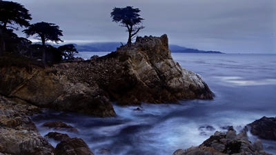 Standing before the Lone Cypress