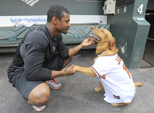 Adam Jones with his dog Missy in the dugout.