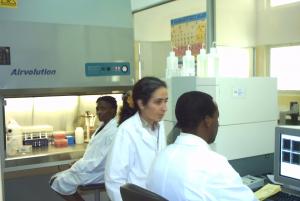 The HIV monitoring laboratory 2004