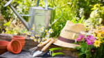 Buyer's guide to gardening tools 