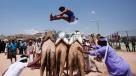 A Bedouin man leaps over camels in Yemen. 