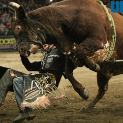Professional bull riding in New York City
