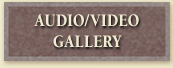 Audio Video Gallery