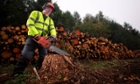 Forestry contractor Tony Morris saws through a log during the clear-felling.