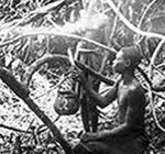 Congolese tapping rubber trees, 1897