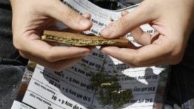 MPP director of federal policies Daniel Riffle on the latest on marijuana legalization.