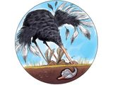 Illustration: an ostrich with its head in the sand