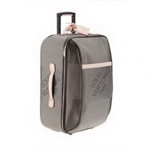 Pegase 55 Grey Damier Geant Handbags