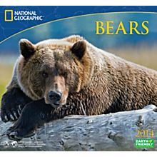 2014 National Geographic Bears Wall Calendar