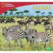 2014 National Geographic Safari Wall Calendar