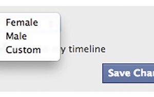 This screen shot released by Facebook shows the new gender option screen. Facebook is adding a customizable option with about 50 different terms people can use to identify their gender as well as three preferred pronoun choices: him, her or them. Facebook said the changes being rolled out Thursday, Feb. 13, 2014, for the company’s 159 million monthly users in the U.S. are aimed at giving gender nonconforming people the opportunity to be transparent about who they really are, whether that’s androgynous, bi-gender, intersex, gender fluid or transsexual.