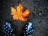 Picture of rain boots and a leaf