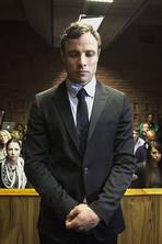 Oscar Pistorius murder trial: what should we expect?
