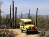 Photo: Tucson Arizona Jeep tour
