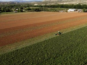 Smarter Irrigation Returns Water to Arizona’s Verde River