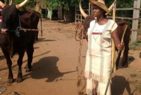 Mercy Johnson rears cattle in new movie