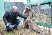Russia's President Vladimir Putin visited leopard breeding and rehabilitation center in the Sochi National Park