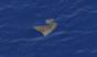 An object floating in the southern Indian Ocean, photographed by the New Zealand Air Force during the search for the missing plane