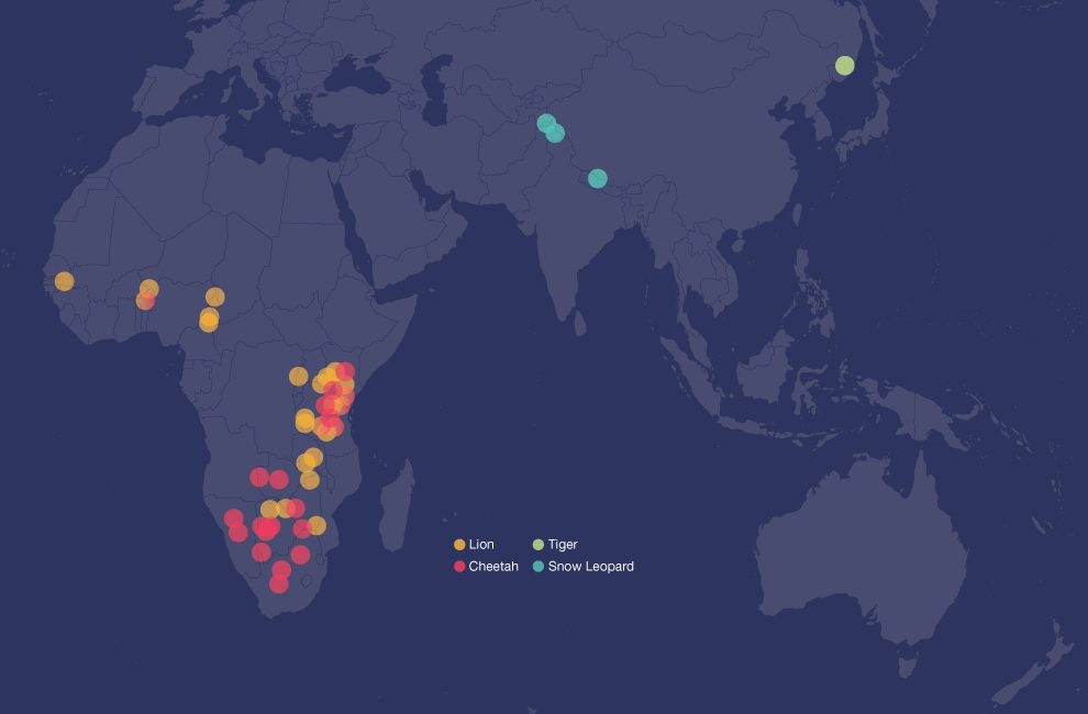 Map of Big Cats Initiative Projects