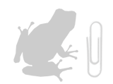 Illustration: Spring peeper compared with paper clip