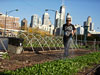 Photo: City Farm in Chicago