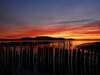 Photo: sunset San Juan Islands Washington