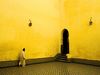 Photo: Robed man passing through yellow holy room