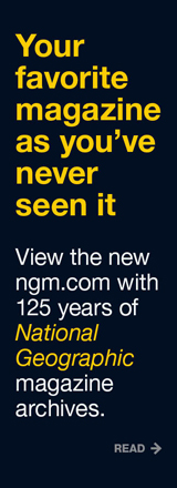 NGM online beta